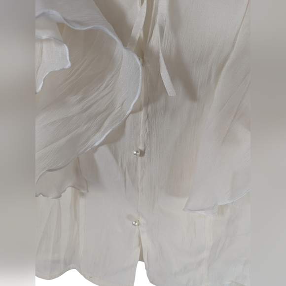 RDY by Rafi Pina Sheer Ruffle Sleeve Blouse Ivory Button Front Feminine Top S - Picture 8 of 12